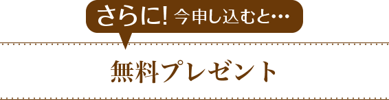 さらに!今申し込むと…