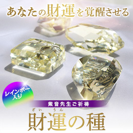 【626】財運の種