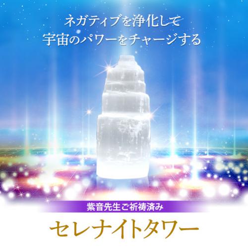 【687】紫音先生ご祈祷済み セレナイトタワー(ミニサイズ)