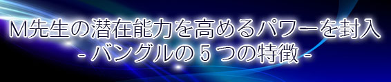 M先生の潜在能力を高めるパワーを封入 - バングルの5つの特徴 -
