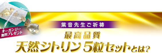 オーガンジーつき紫音先生ご祈祷 最高品質 天然シトリン５粒セットとは？