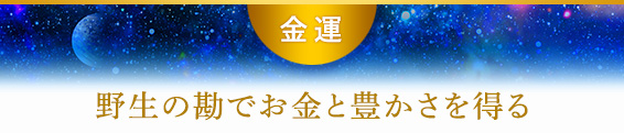 金運/野生の勘でお金と豊かさを得る