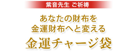 紫音先生ご祈祷あなたの財布に金運をチャージ