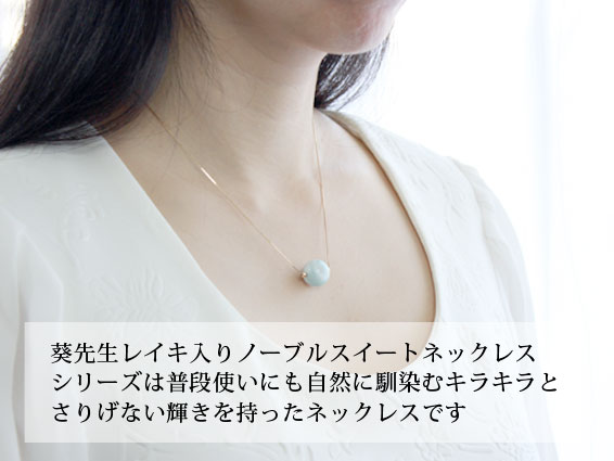 装着イメージ