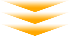 緊急企画