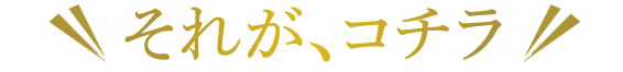 それがこちら