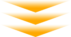 緊急企画