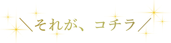 そして…ついに…完成したのがコチラ
