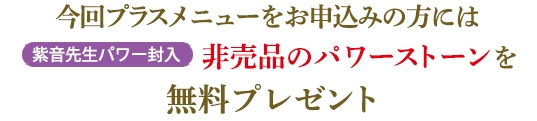 今回プラスメニューをお申込みの方には非売品のパワーストーンを無料プレゼント