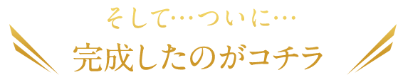 そして…ついに…完成したのがコチラ