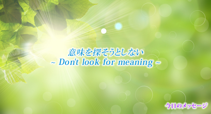 Don T Look For Meaning 意味を探そうとしない 星のしずく