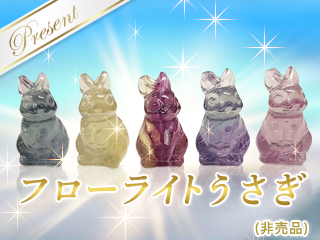フローライトうさぎ