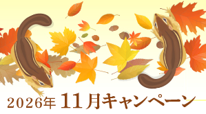 2026年11月キャンペーン情報